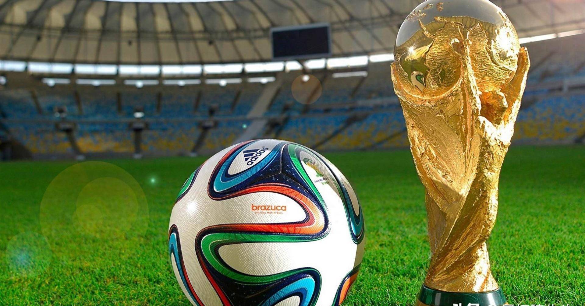 没有打算为 没有打算为